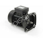 Pentair - moteur pour pompes ultraflow, whisperflow et superflo 0, 75 cv tri Pentair - moteur pour pompes ultraflow, whisperflow et superflo 0, 75 cv tri