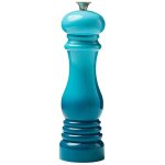 Moulin � poivre manuel multicolore d�grad� de 8 pouces, en plastique transparent, broyeur � gros sel, ...