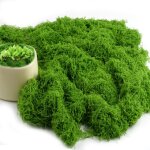 Mousse artificielle 500g, mousse artificielle, faux gazon bionique pour d�coration de jardin, aquarium ...