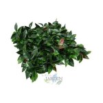 Mur végétal artificiel brise - vue verdissement balcon clôture de jardin, avec treillis, feuilles de ... Mur végétal artificiel brise - vue verdissement balcon clôture de jardin, avec treillis, feuilles de ...