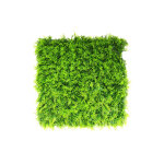 Mur vgtal synthtique - fougre - intrieur et extrieur - 1m x 1m