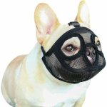 Museli�re pour chien en maille museau de chien � museau court dresseur pour chien museli�re r�glable ...