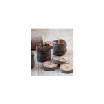 Pastilles de tourbe compresses