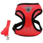 Neoprene handle, for small, medium and large breed puppies from best pet supplies: mesh surface harness ...