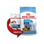 Nourriture que royal canin maxi starter chiots taille grande taille (jusqu'? 2 mois) et m?res gestant ... Nourriture que royal canin maxi starter chiots taille grande taille (jusqu'? 2 mois) et m?res gestant ...