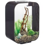 Oase - aquarium 15l led noir life 15 led black