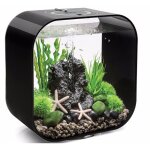 Oase - aquarium 30l contours noir life 30mcr black