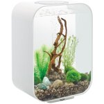 Oase - aquarium décoratif 15l avec cadre blanc life 15 mcr white Oase - aquarium décoratif 15l avec cadre blanc life 15 mcr white