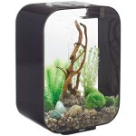Oase - aquarium dcoratif 15l avec cadre noir life 15 mcr black