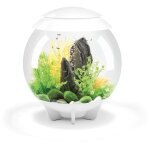Oase - aquarium dcoratif 30l blanc halo 30 mcr white