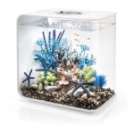 Oase - aquarium dcoratif 30l mcr avec cadre blanc flow30mcr white