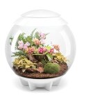 Oase - terrarium d�coratif 60l avec cadre blanc air 60 white