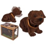 Objet d�coratif - chien de plage - plastique floqu� - 18 x 12 x 9 cm - mixte