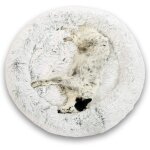 Coussin chien chat apaisant 115cm dodo donut? confort + rond doux cocoon puppy love panière anti stress ... Coussin chien chat apaisant 115cm dodo donut? confort + rond doux cocoon puppy love panière anti stress ...
