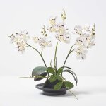 Homescapes - orchide artificielle blanche dans un bol en cramique noir 38 cm
