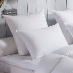 Oreiller 70% duvet d'oie moelleux - 65 / 65 - dodo