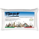 Oreiller coussin de tommy dans la m�moire du voyage