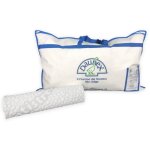 Oreiller en duvet d'oie issimo daunex avec couvercle texfamily massage