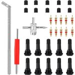 Outil retrait valve 43 pi�ces, tr413 valve pneu, extracteur noyau valve � double t�te pour camions v�los ...