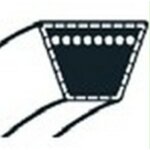 43082 - courroie de traction pour tondeuse outils wolf