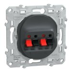 Ovalis - prise haut - parleur 2 sorties - anthracite (s340488)