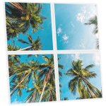 Pack de 4 dalles led imprim�es 60x60 cm - motif �vasion tropicale - lumi�re blanc neutre 4000k - panneaux ...