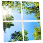 Pack de 4 dalles led imprim�es 60x60 cm - motif myst�re forestier - lumi�re blanc neutre 4000k - panneaux ...