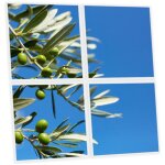 Pack de 4 dalles led imprim�es 60x60 cm - motif parfum d?oliviers - lumi�re blanche neutre 4000k - panneaux ...