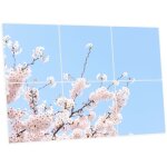 Pack de 6 dalles led imprim�es 60x60 cm - motif fleurs de ciel - lumi�re blanc neutre 4000k - panneaux ...