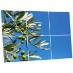 Pack de 6 dalles led imprim�es 60x60 cm - motif parfum d?oliviers - lumi�re blanc neutre 4000k - panneaux ...