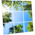 Pack de 9 dalles led imprim�es 60x60 cm - motif myst�re forestier - lumi�re blanc neutre 4000k - panneaux ...