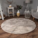 Tapis salon en fausse fourrure pelucheux hautes m�ches doux plusieurs couleurs beige, 120 cm rond - paco ...