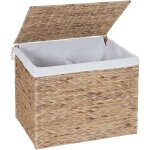 Dcoshop26 - panier  linge coffre de rangement 2 compartiments jacinthe d'eau 50x60x43cm 129l 040003774 ...