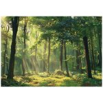 Papier peint avec motif for�t et soleil uv d�coration murale ? 250 x 175 cm wallarena