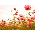 A. s. creations - papier peint panoramique coquelicot original tapisserie panoramique florale lgant ...