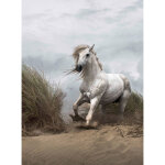Papier peint panoramique enfant chambre fille | tapisserie panoramique chevaux sauvages animaux | papier ... Papier peint panoramique enfant chambre fille | tapisserie panoramique chevaux sauvages animaux | papier ...
