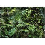 Papier peint panoramique feuilles de jungle for�t tropicale d�coration murale ? 150 x 105 cm wallarena ...