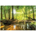 Papier peint panoramique for�t soleil vert, d�coration murale pour salle de bain, salon, chambre � coucher ...