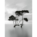 Papier peint panoramique mer tranquille | tapisserie panoramique noir et blanc | papier peint panoramique ... Papier peint panoramique mer tranquille | tapisserie panoramique noir et blanc | papier peint panoramique ...