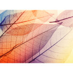 A. s. creations - papier peint panoramique idal pour salon tapisserie panoramique originale pour bureau ...