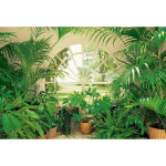 Papier peint panoramique trompe l'oeil fenêtre & plante | tapisserie panoramique végétal idéale chambre ... Papier peint panoramique trompe l'oeil fenêtre & plante | tapisserie panoramique végétal idéale chambre ...