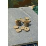 Pastilles de tourbe dshydrate turba nortene - germination & repiquage