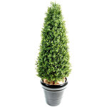 Pegane - plante artificielle haute gamme spcial extrieur / buis topiaire coloris vert - dim : h. 70 ...