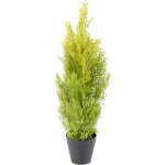 Pegane - plante artificielle haute gamme spécial extérieur / cyprès artificiel coloris vert / jaune - ... Pegane - plante artificielle haute gamme spécial extérieur / cyprès artificiel coloris vert / jaune - ...