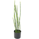 Pegane - plante artificielle haute gamme sp�cial ext�rieur / presle artificiel - dim : 65 x 15 cm
