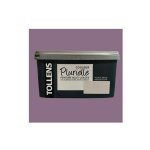 Tollens - peinture acrylique multi - usages 'couleur plurielle' mat ravissante 2, 5 l