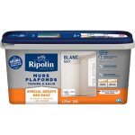 Peinture blanc mat - murs et plafonds tachs et salis - 2, 5l - ripolin