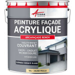Arcane industries - peinture, faade, acrylique, 14 couleurs, durable, jusqu' 15, ans, rnovation, faade, ...