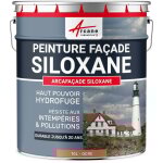 Peinture facade, siloxane hydrofuge, durable jusqu' 20 ans, rnovation faade, mur crpi : arcafacade ...