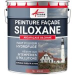 Arcane industries - peinture facade, siloxane hydrofuge, durable jusqu' 20 ans, rnovation faade, mur ...